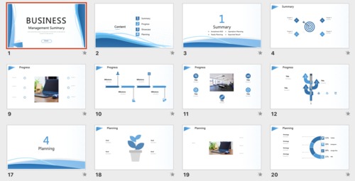 Product picture Management Summary PowerPoint Template (pptx)